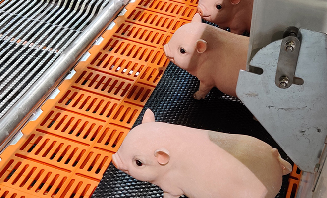 青岛云程国际贸易有限公司